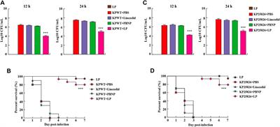 A Potent Antibiotic Combination of Linezolid and Polymycin B Nonapeptide Against Klebsiella pneumoniae Infection In Vitro and In Vivo